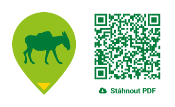 QR